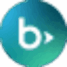 Blackbaud Raiser's Edge NXT logo