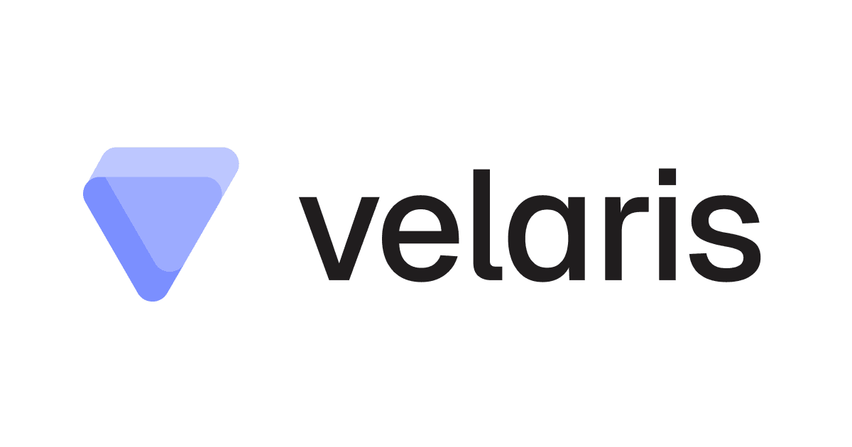 Velaris: The AI Customer Success Platform