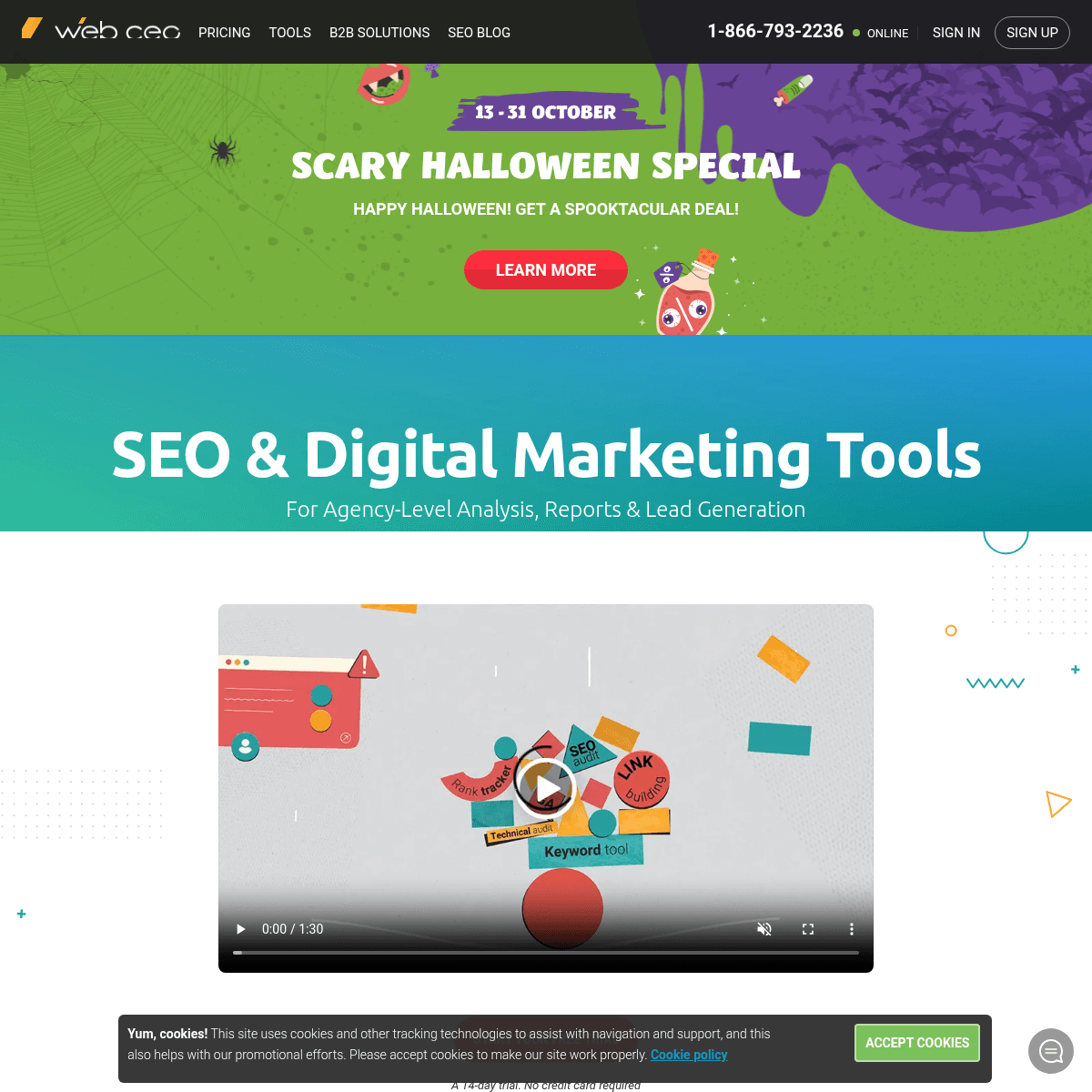 WebCEO | SEO & Digital Marketing Tools